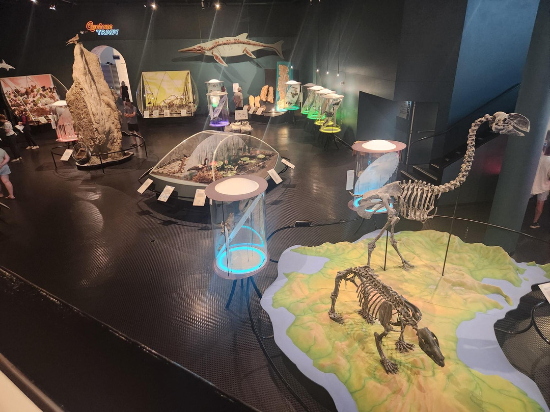 Tour Tub-达尔文市必去景点