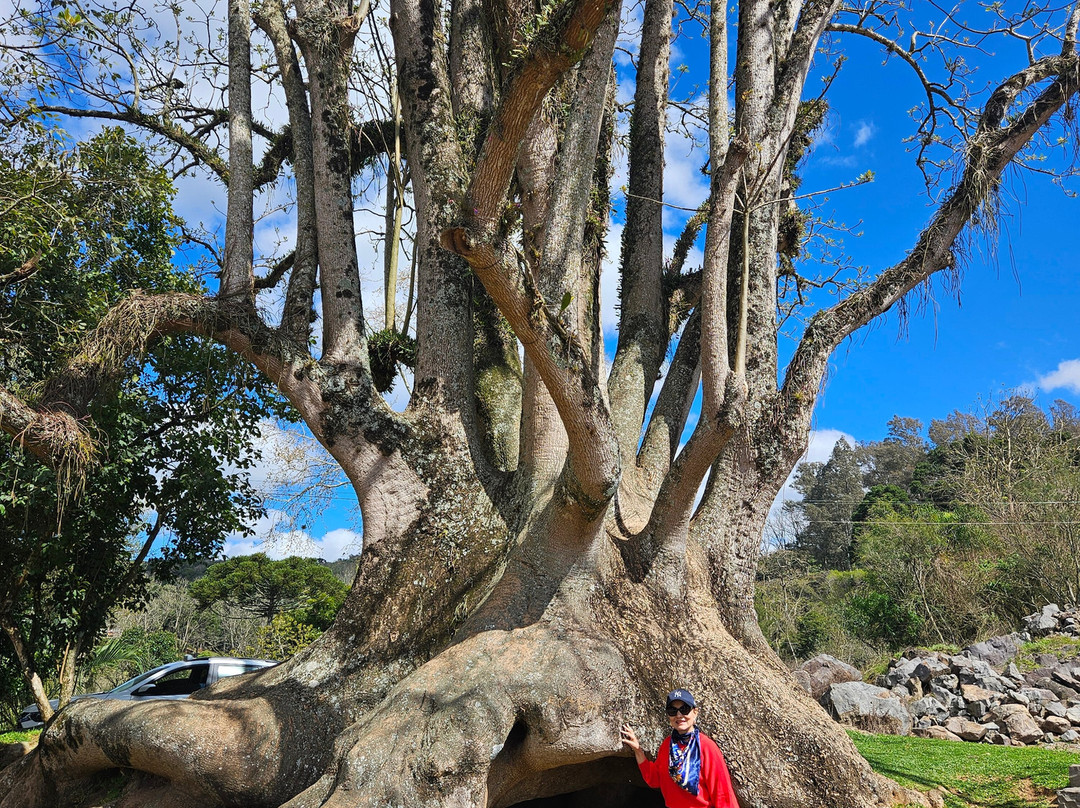 Martelli: Passeios e Bike Experience-Garibaldi必去景点