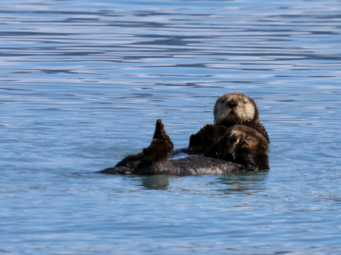 Seacor Tours-苏厄德必去景点