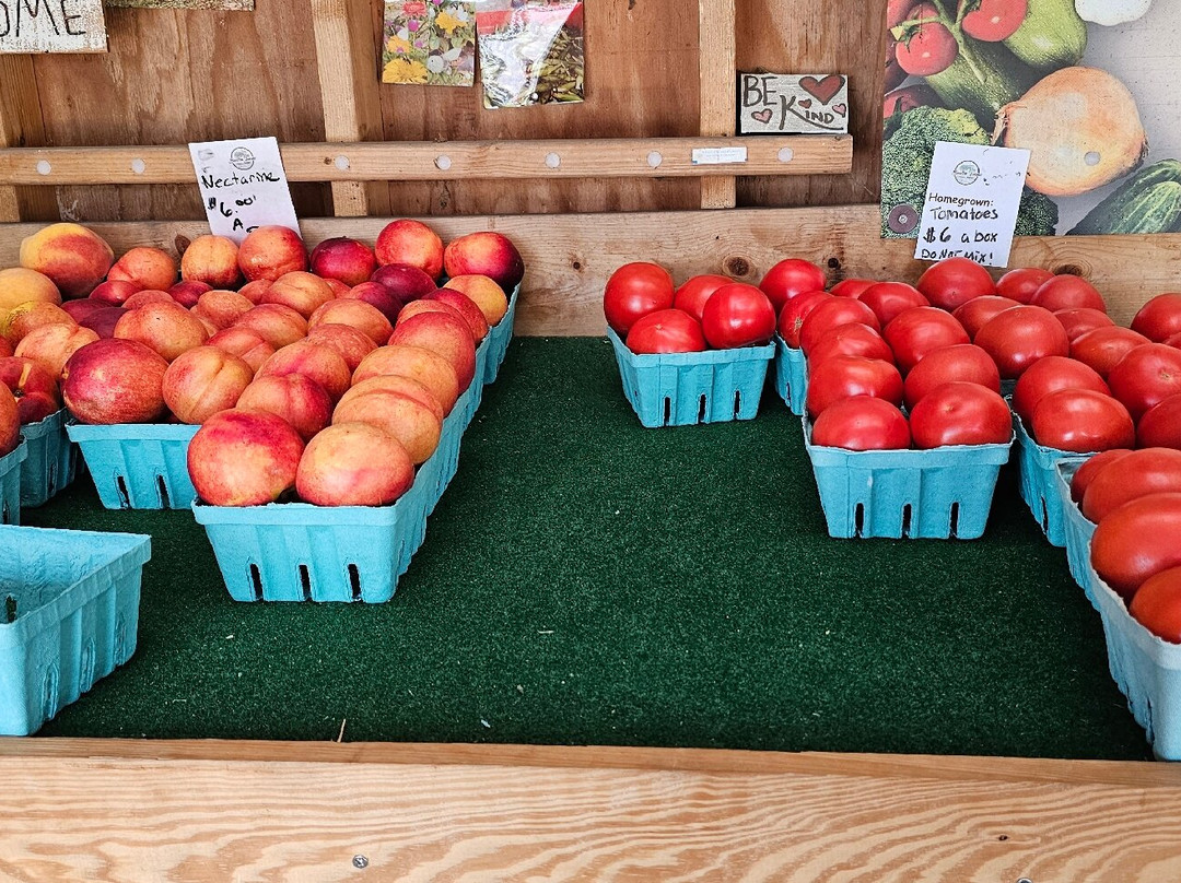 Burton Farms-Glen Arm必去景点