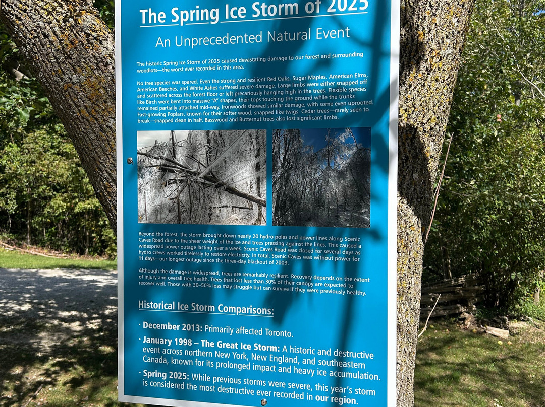 Scenic Caves Nature Adventures-蓝山必去景点