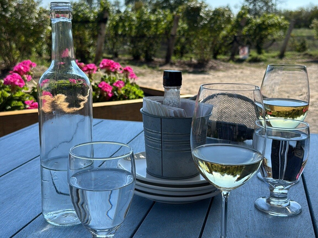 County VIP Tours-Prince Edward必去景点