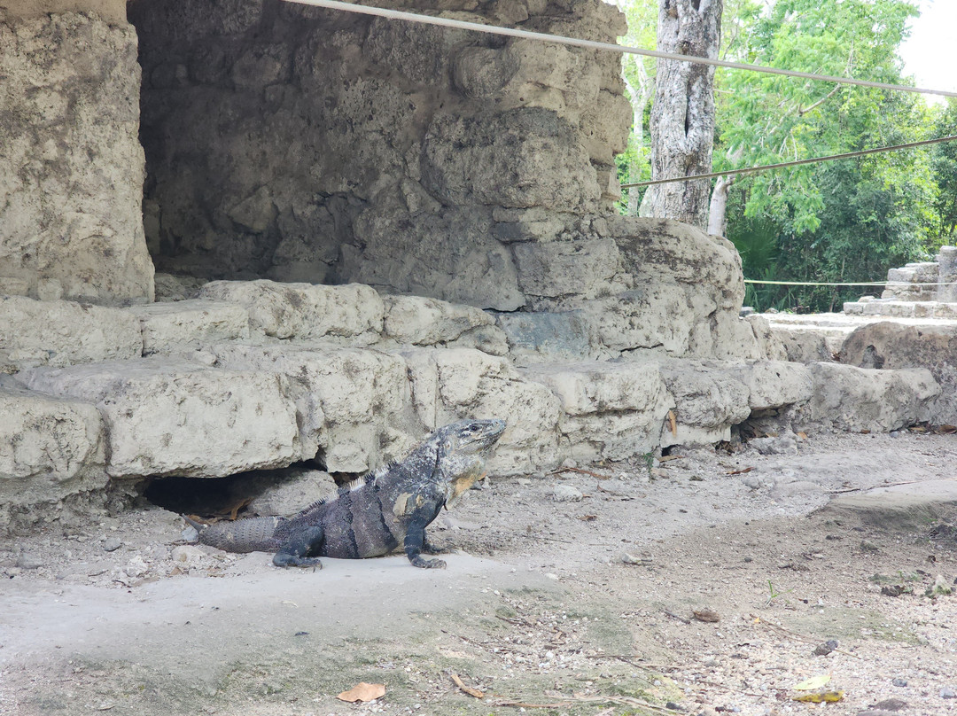 圣赫瓦西奥遗迹-考祖梅必去景点