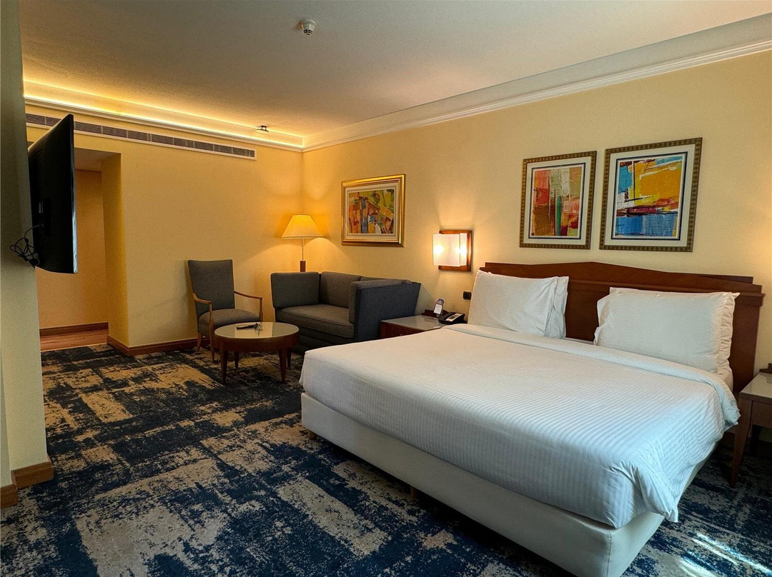 贝鲁特马丁内斯丽笙布鲁酒店主图