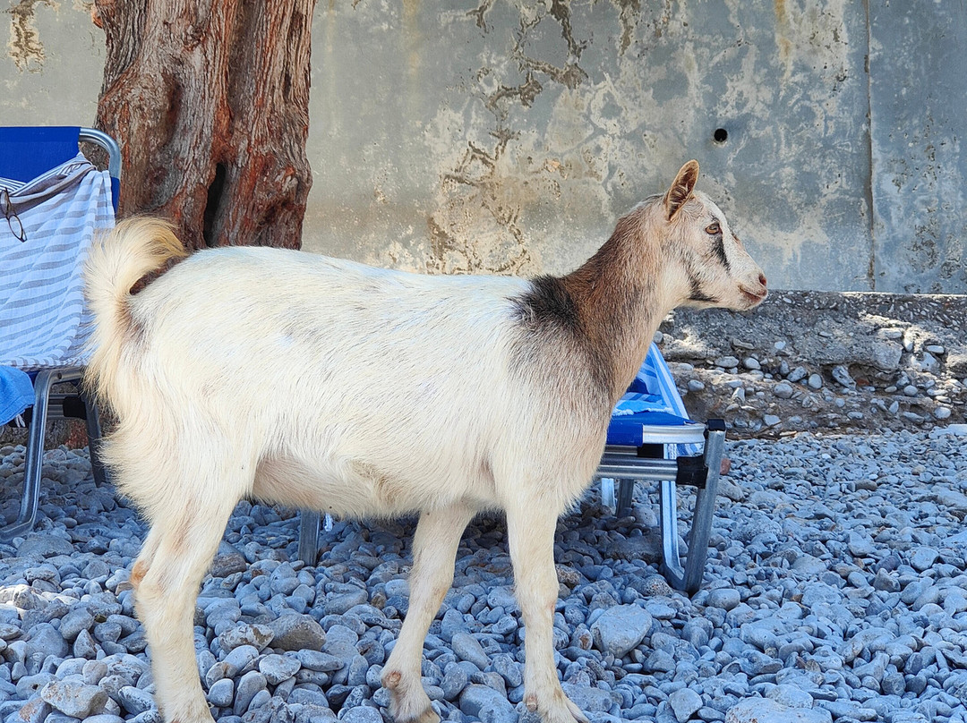 Marathounda Beach-Symi必去景点