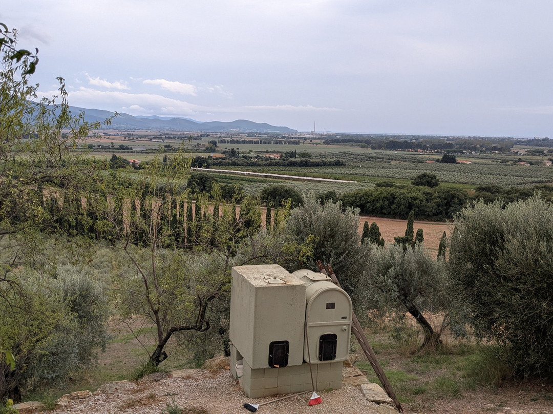 Morisfarms-Cura Nuova必去景点