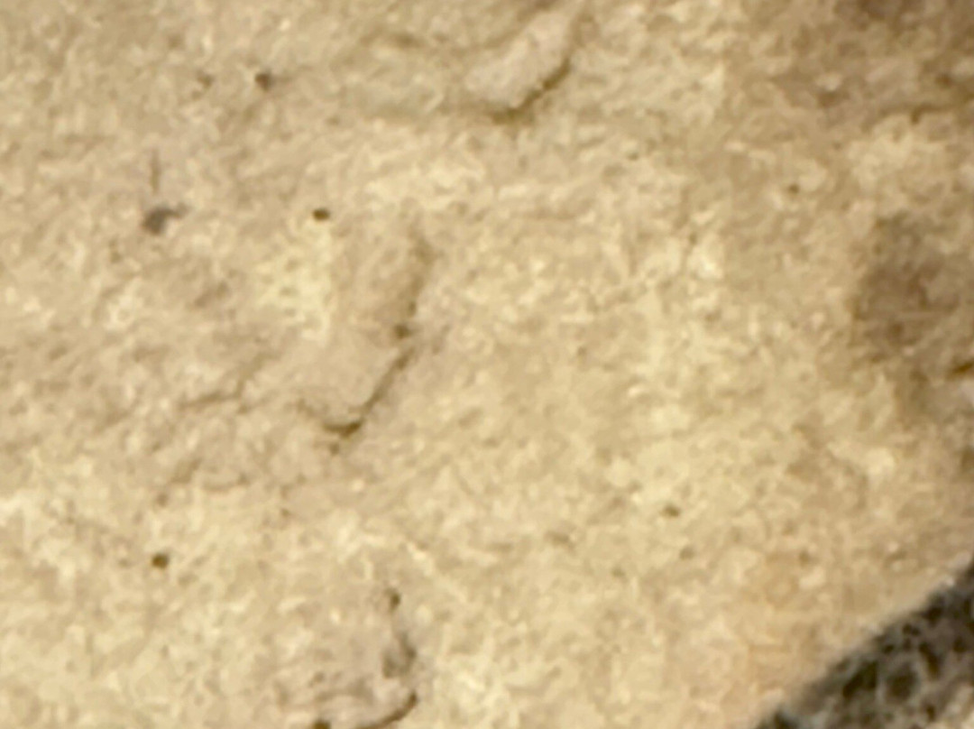 Theopetra Cave-Theopetra必去景点