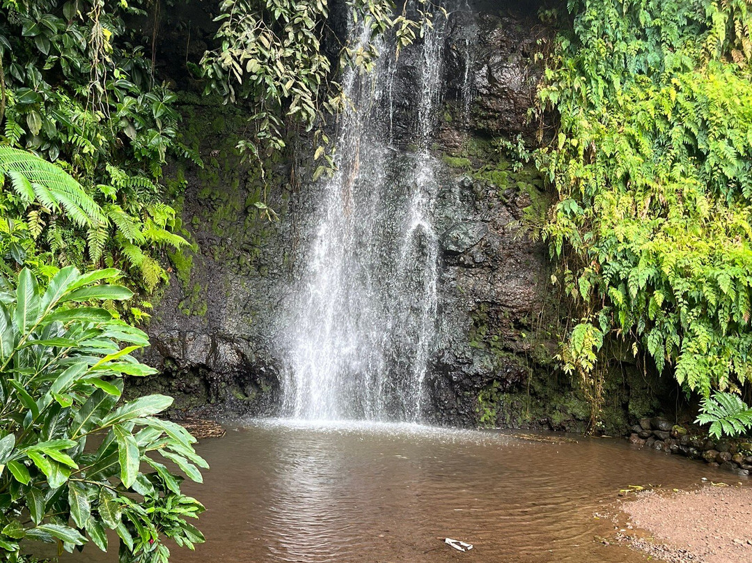 Nordhoff Adventure-法阿必去景点