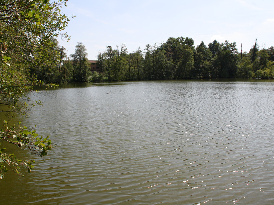 Parco Faunistico La Torbiera-Agrate Conturbia必去景点