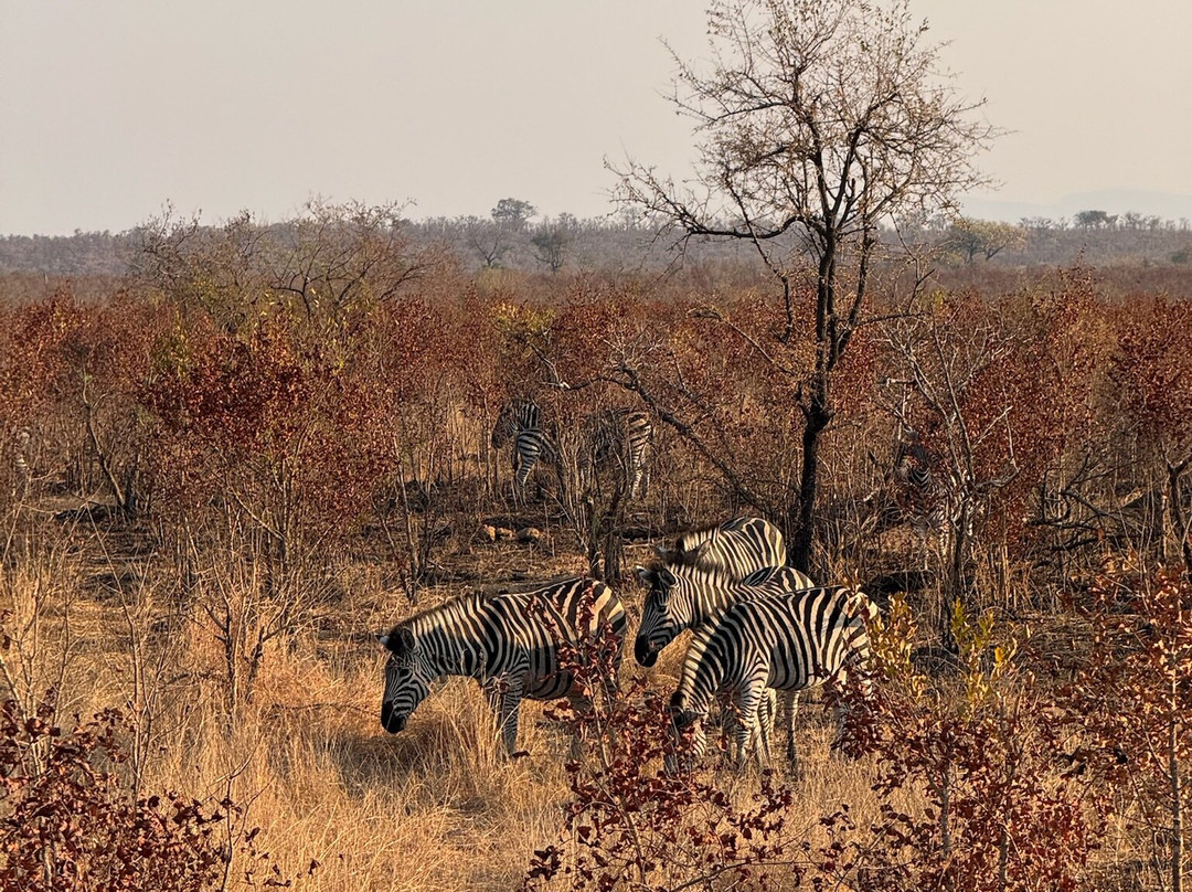 GAP Tours & Transfers-雾观必去景点