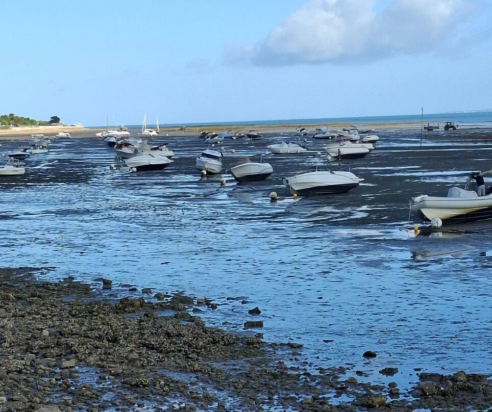 Hotel Le Français主图