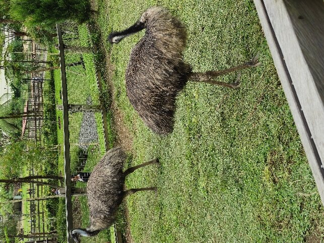 Bali Farm House-Pancasari必去景点
