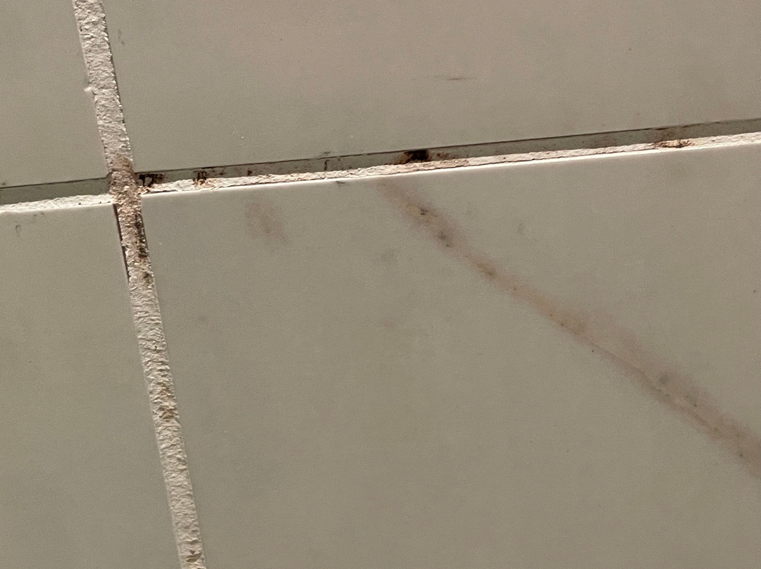 Valley Hotel Homewood Birmingham, Curio Collection By Hilton主图