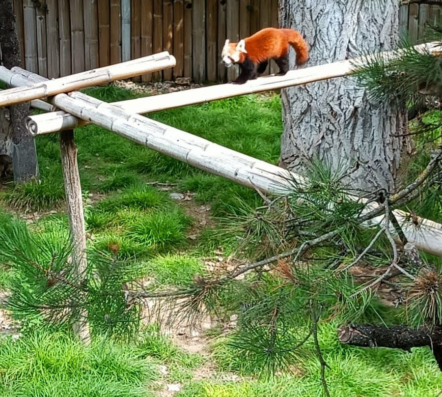 Parco Natura Viva-布索伦戈必去景点