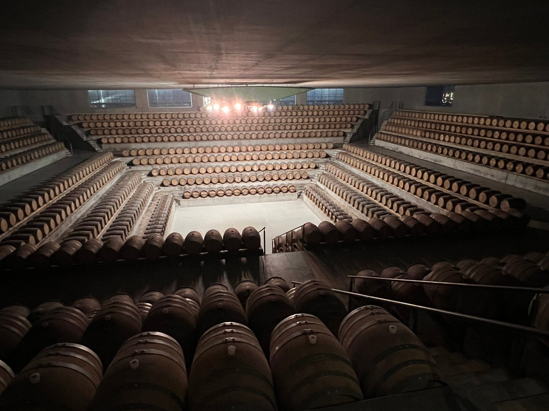 Cantina Rocca di Frassinello-格罗塞托必去景点