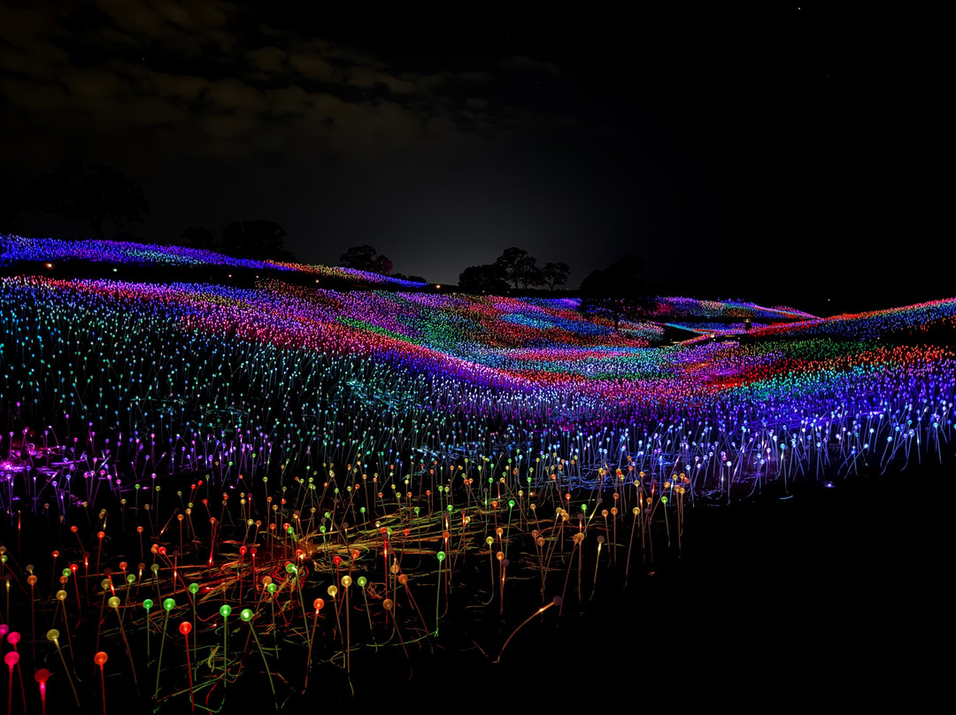 Sensorio-帕索罗布尔斯必去景点