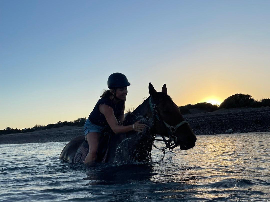 Rocking Horse Ranch-Gennadi必去景点
