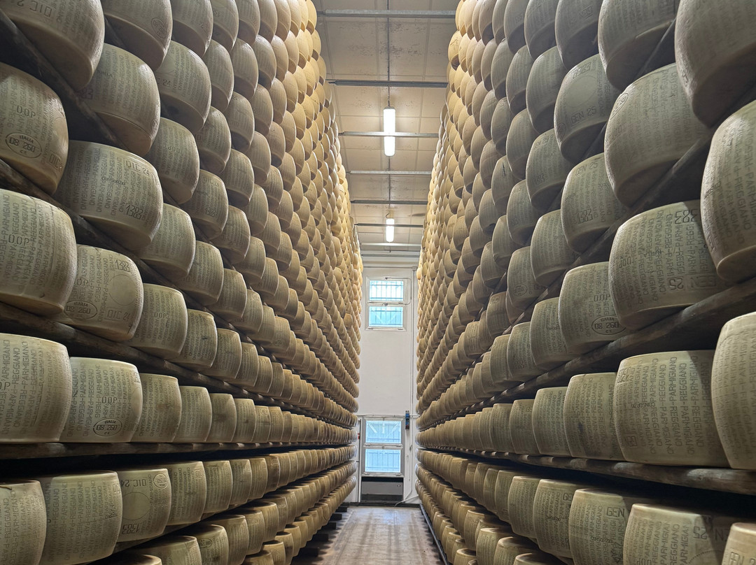 Emilia Delizia Food Tours-博洛尼亚必去景点