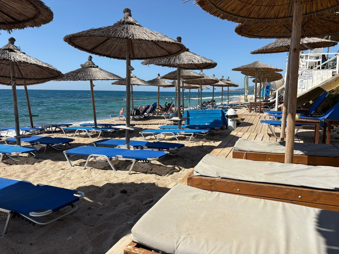 Must Boutique Hotel主图