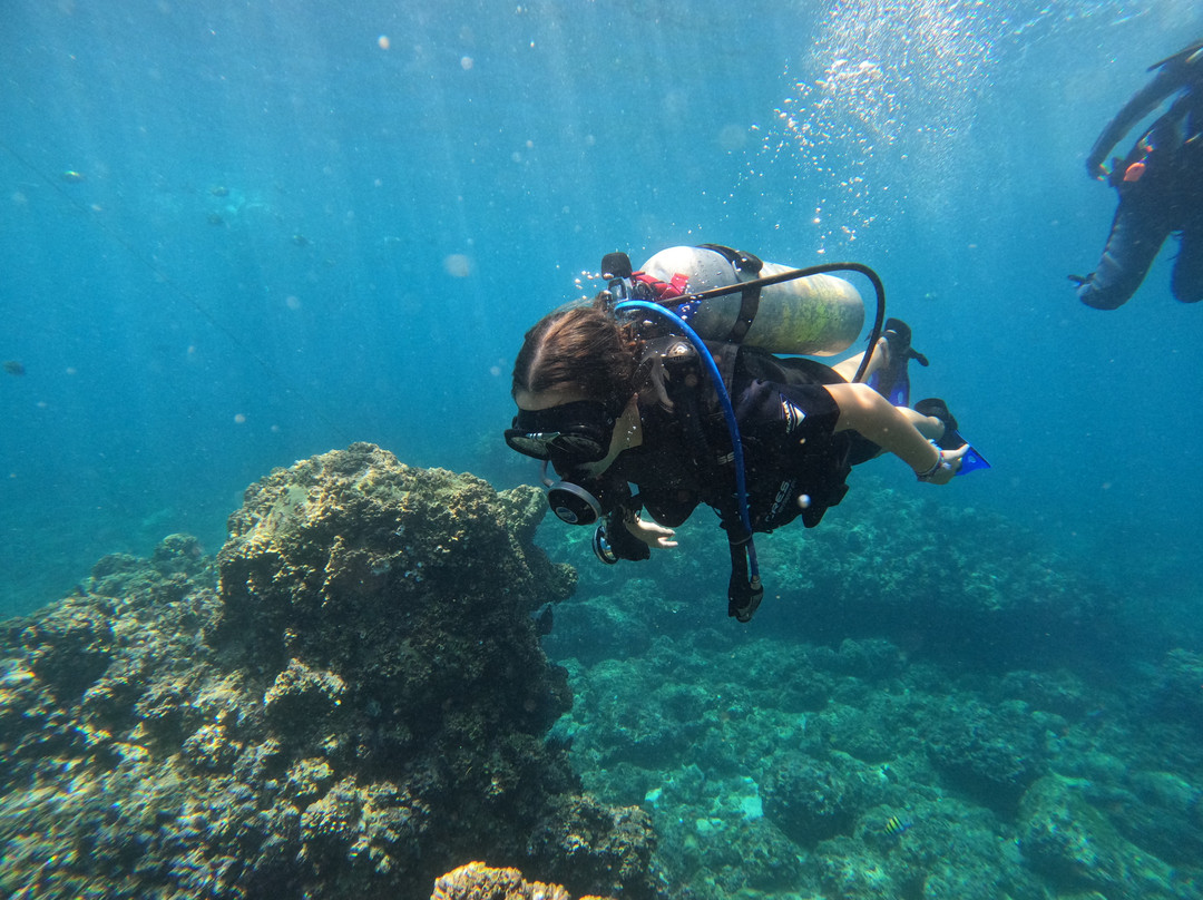 Mismaloya Adventures-Mismaloya必去景点