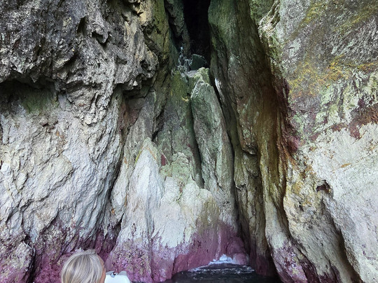 100Salpicos Boat Tours-塞新布拉必去景点