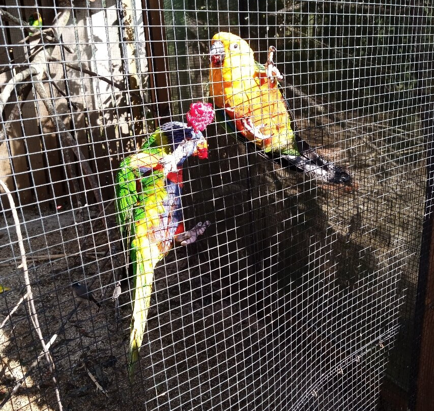 Bird Gardens Scotland Cic-Oxton必去景点