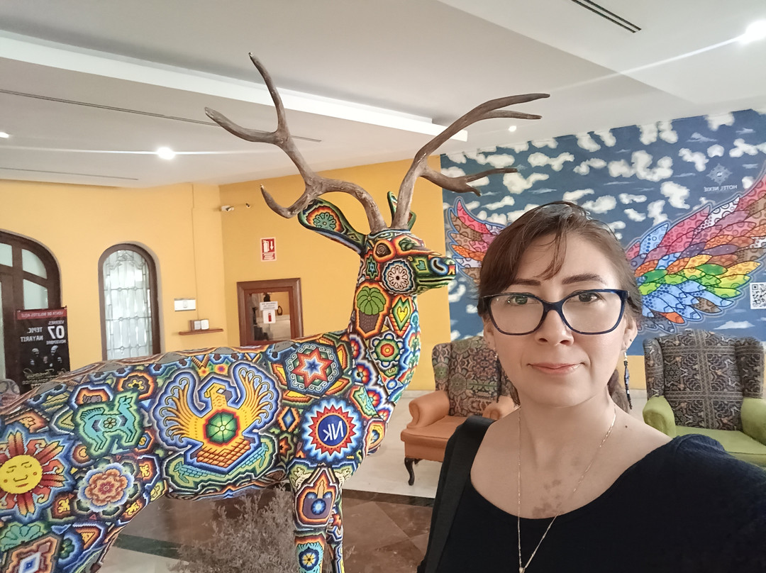 NK Hotel Nekie Tepic主图