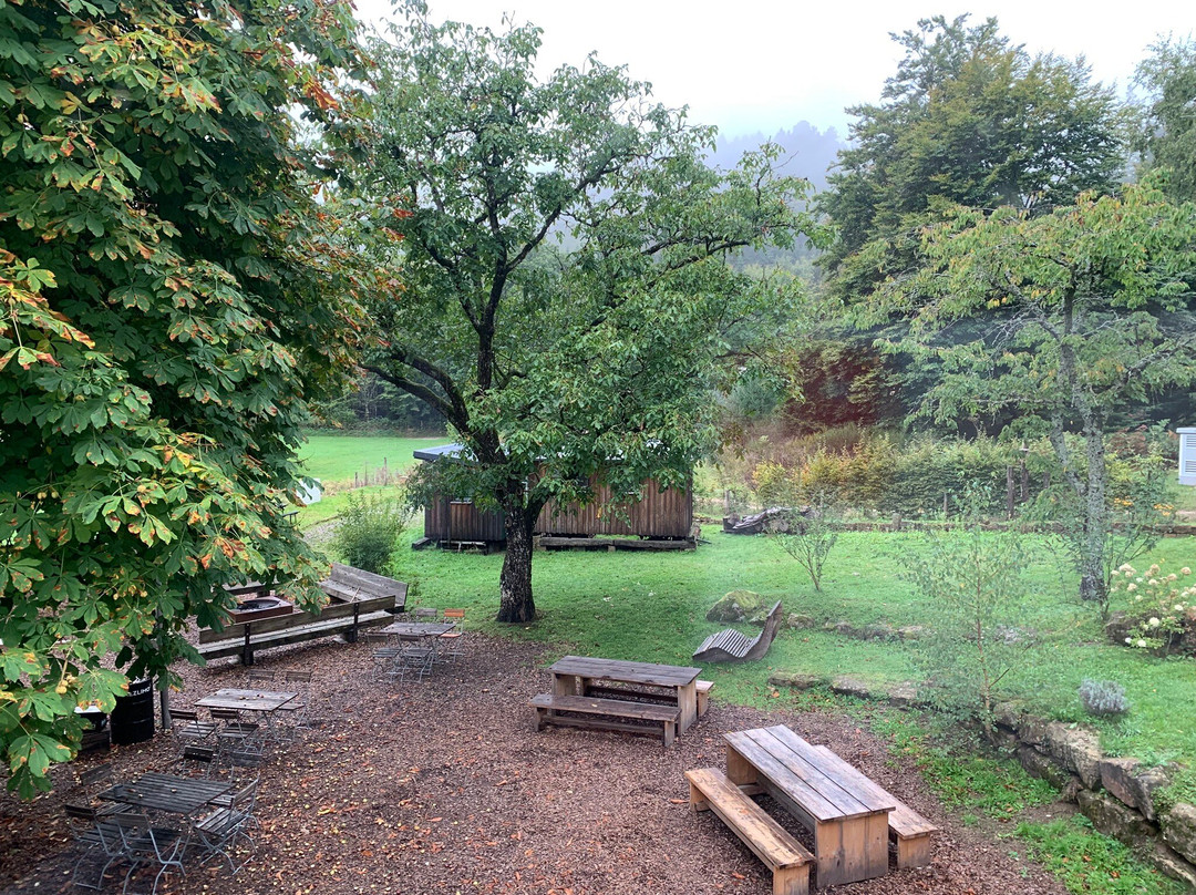 Schwarzer Fuchs im Forsthaus Annweiler