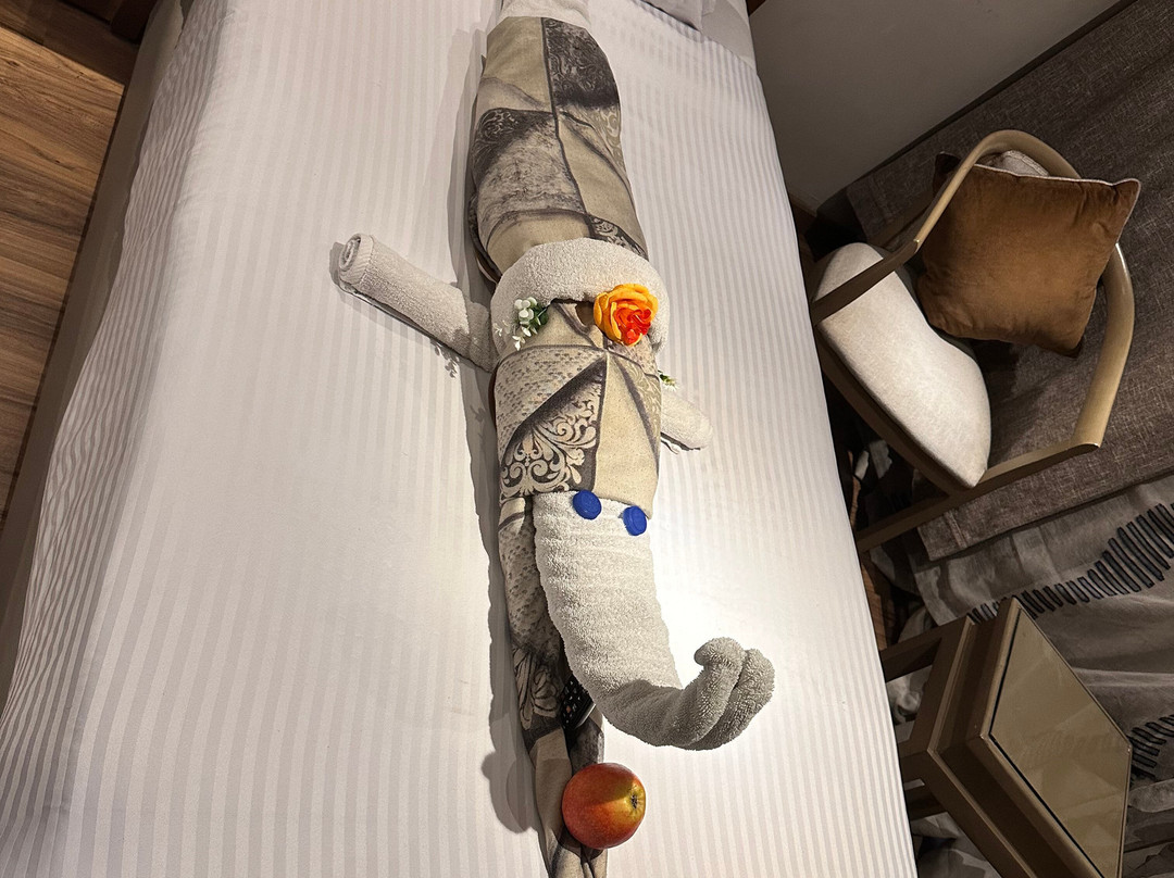 SUNRISE M/S Semiramis III主图