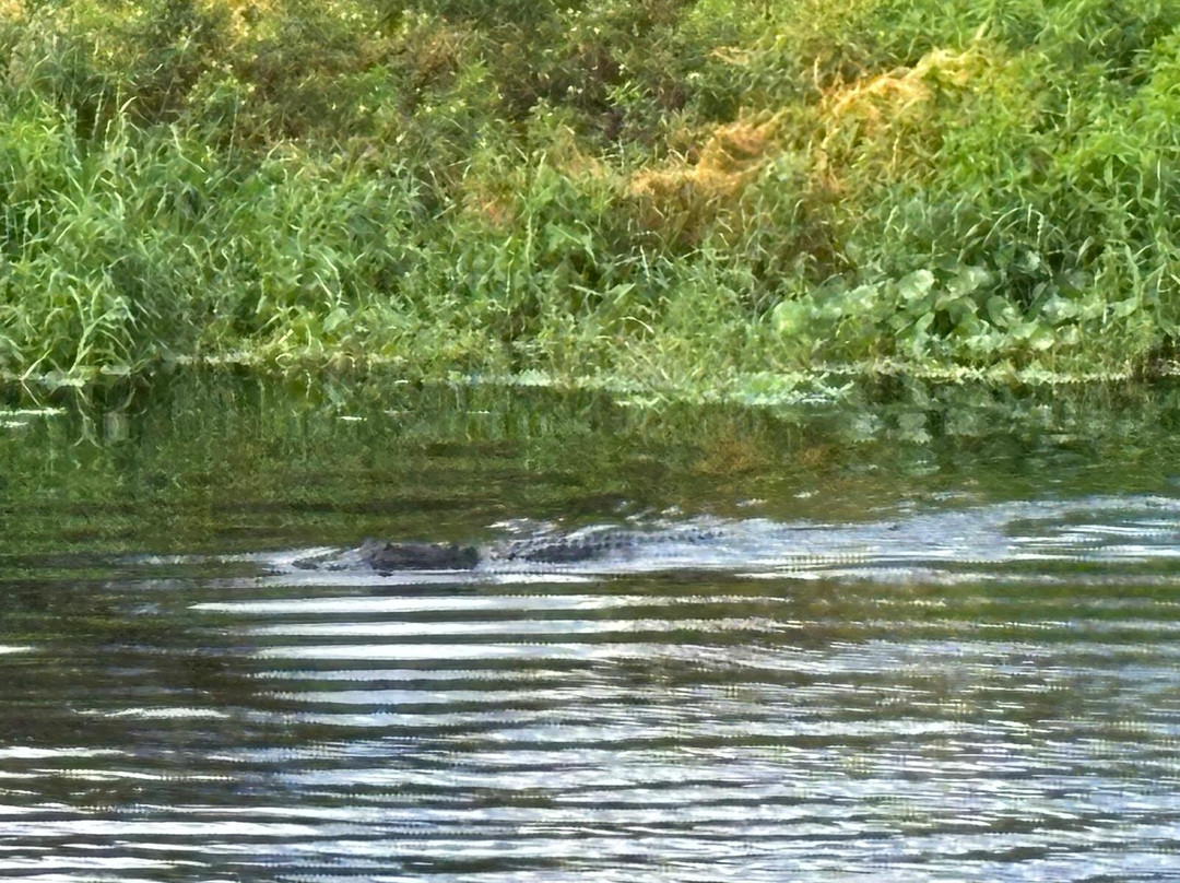 St. John's River Eco Tours, LLC-DeBary必去景点