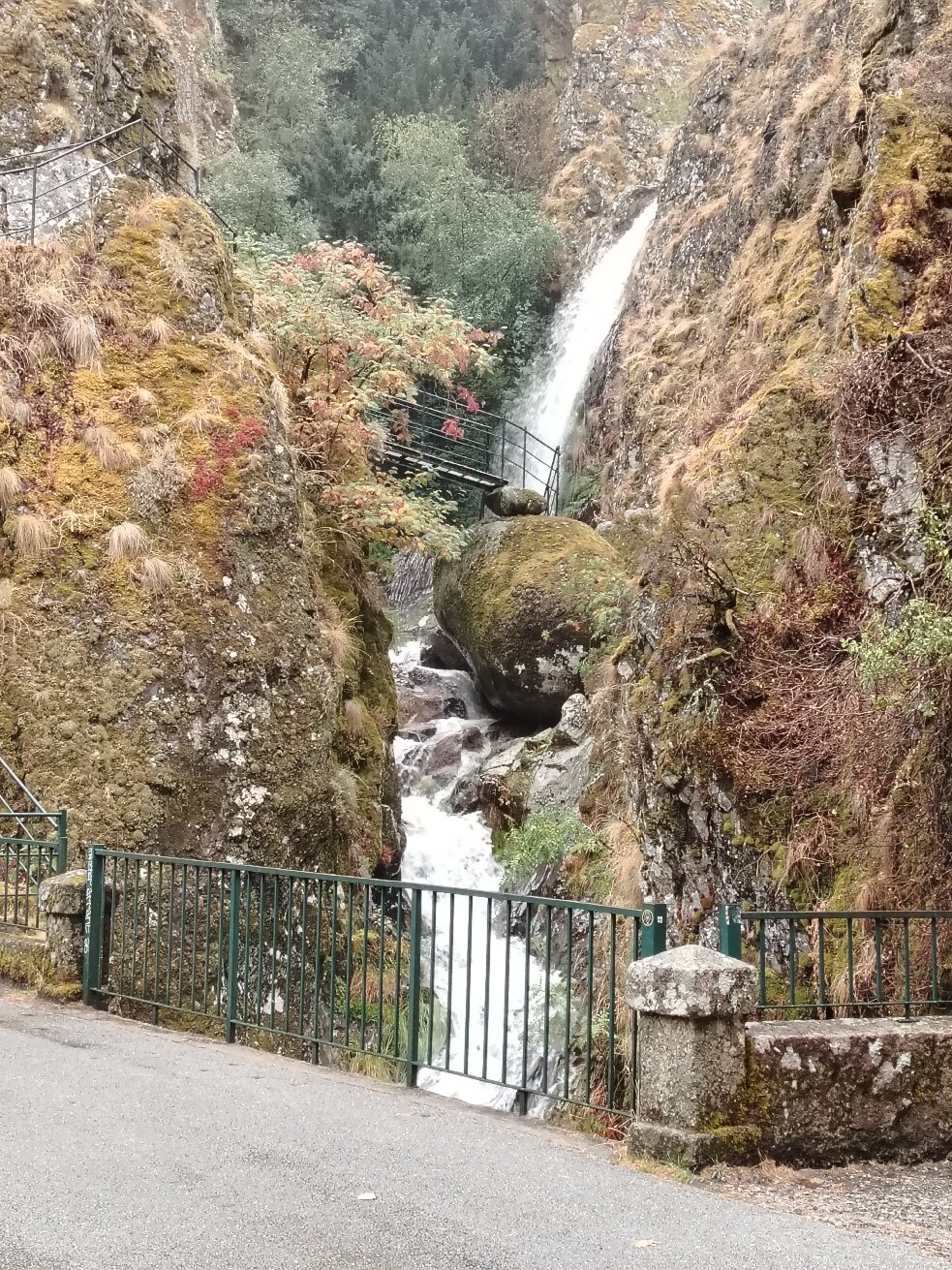 Casa das Obras-官方