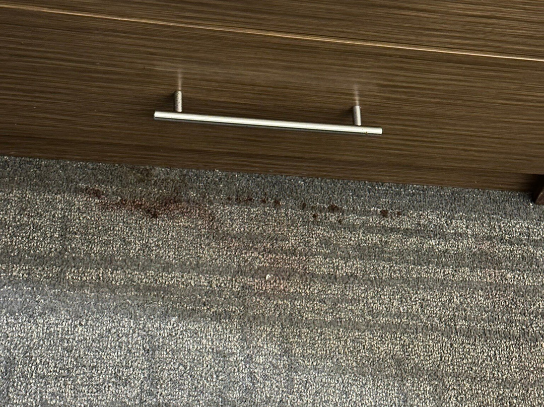 迪索托-达拉斯南舒适套房酒店主图