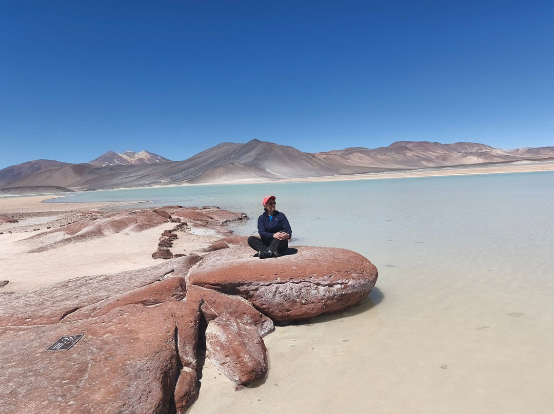 Piedras Rojas-圣佩德罗-德阿塔卡马必去景点