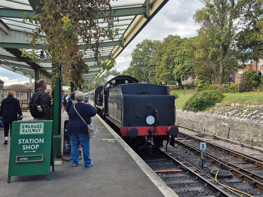 Swanage Railway-斯沃尼奇必去景点