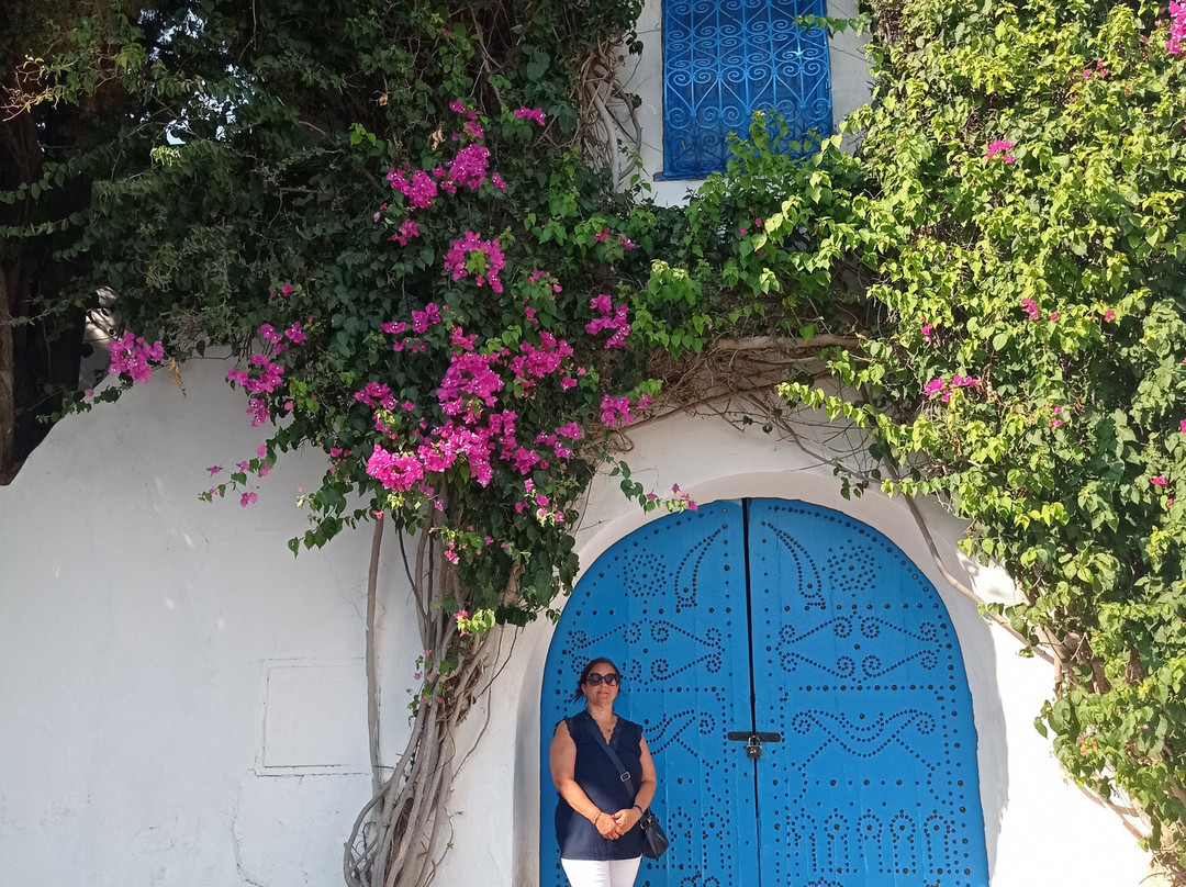 Sidi Bou Said Village-蓝白小镇必去景点