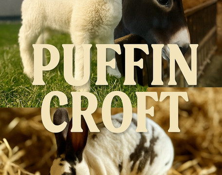 Puffin Croft Petting Farm & Farm Shop-John O'Groats必去景点