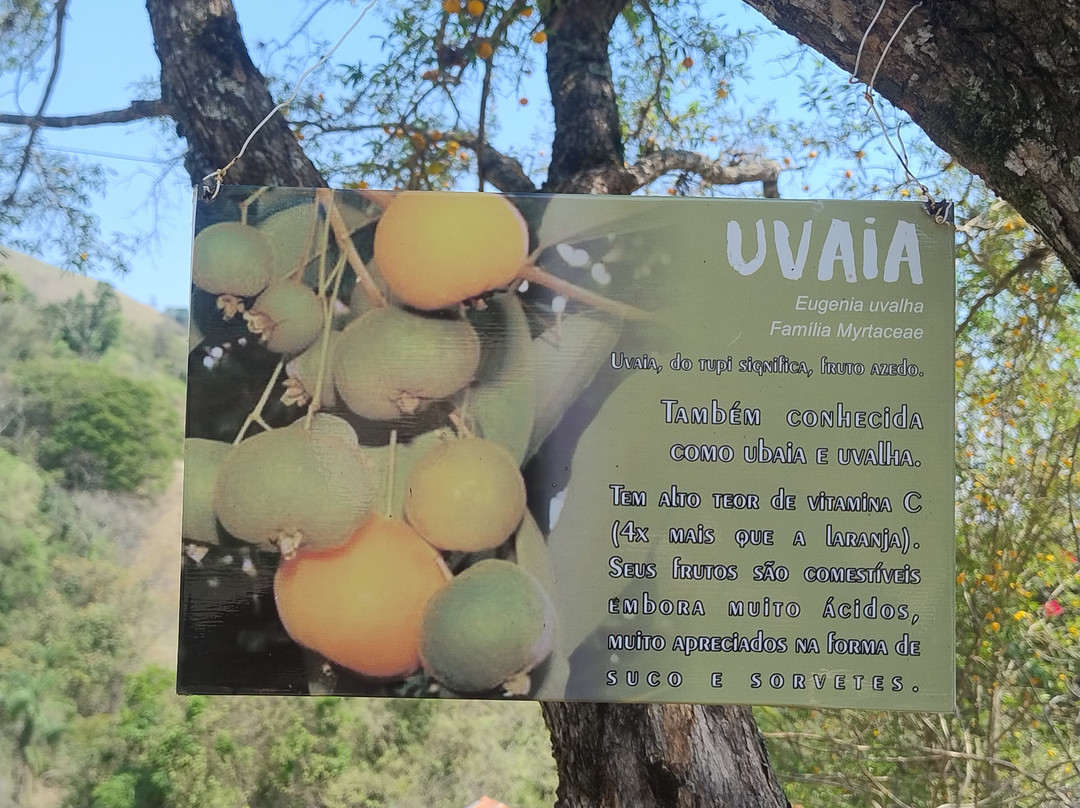 Cachoeira do Machado I-Bueno Brandao必去景点