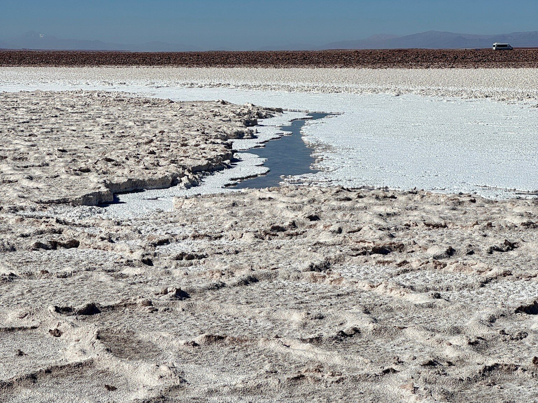 Lagunas Baltinache-圣佩德罗-德阿塔卡马必去景点