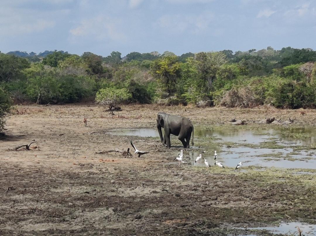 Southern Wild Safari-蒂瑟默哈拉默必去景点