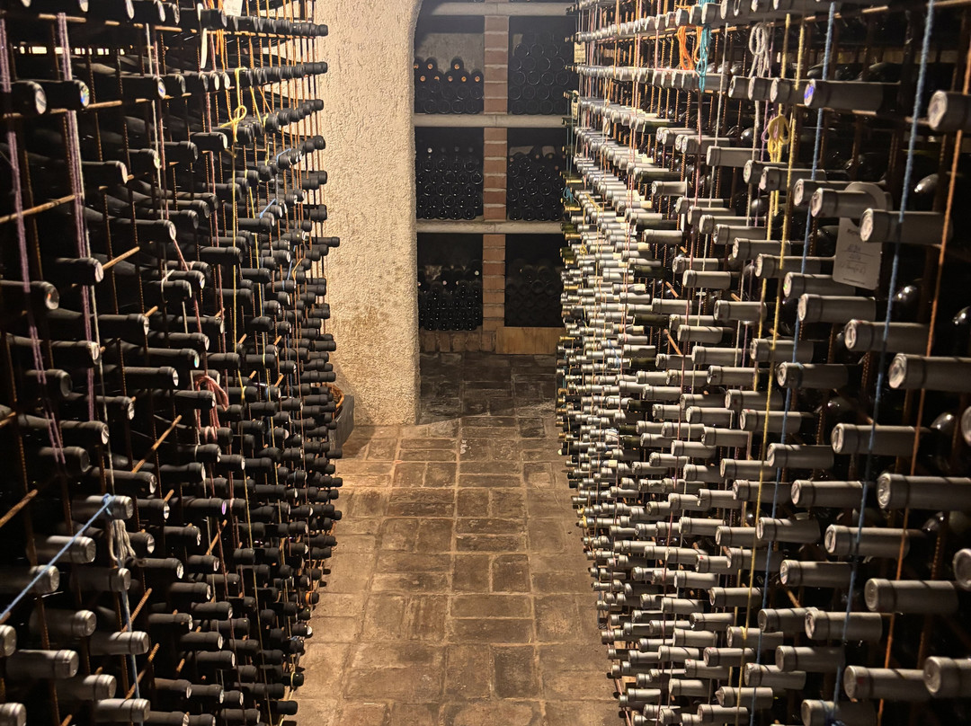 Matosevic Winery-Kruncici必去景点