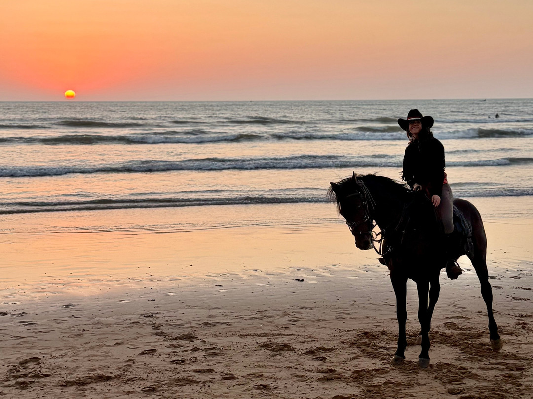 Cheval Essaouira-索维拉必去景点