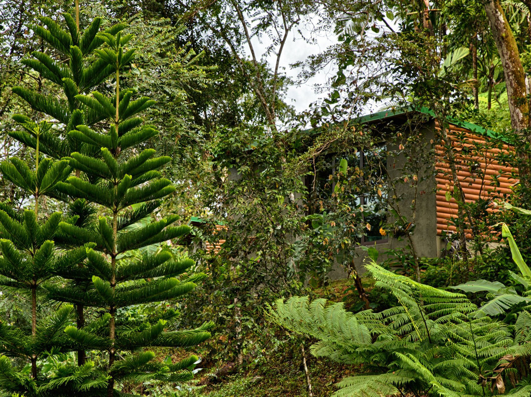 Mont Carpe Diem主图