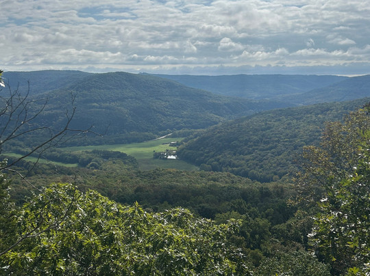 Wilderness Rider Buffalo Ranch & Adventure Park-Kingston必去景点