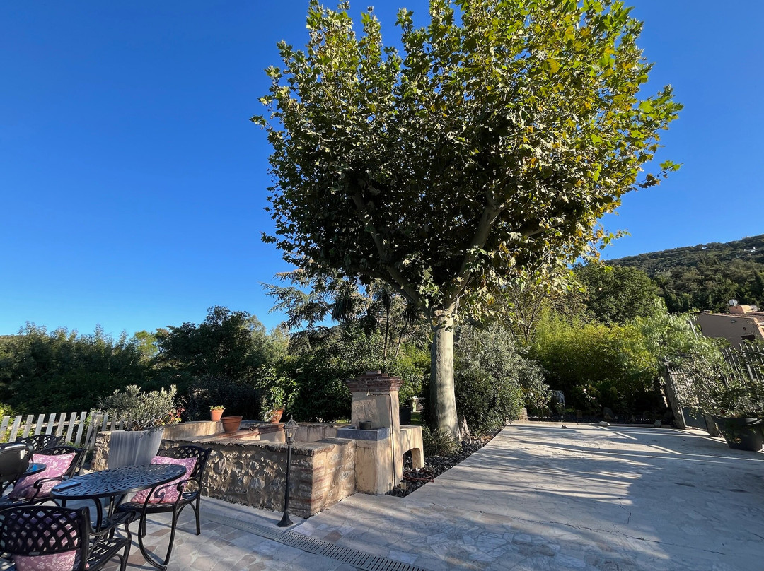 Le Relais Des Chartreuses主图
