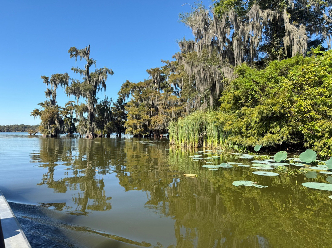 Cajun Country Swamp Tours-布里奥克斯桥必去景点