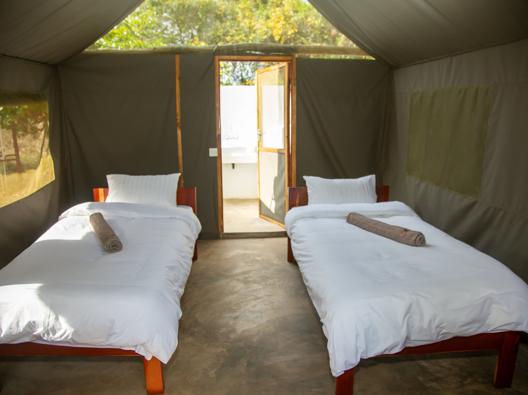Oxpecker Safari Lodge