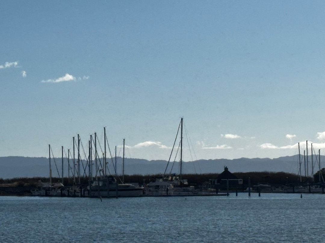 Ballena Isle Marina-阿拉米达必去景点