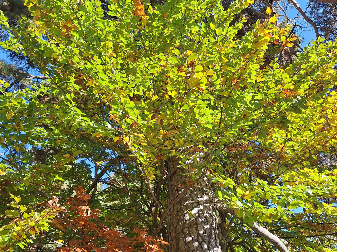 Parque Faunistico - La cuniacha-Biescas必去景点