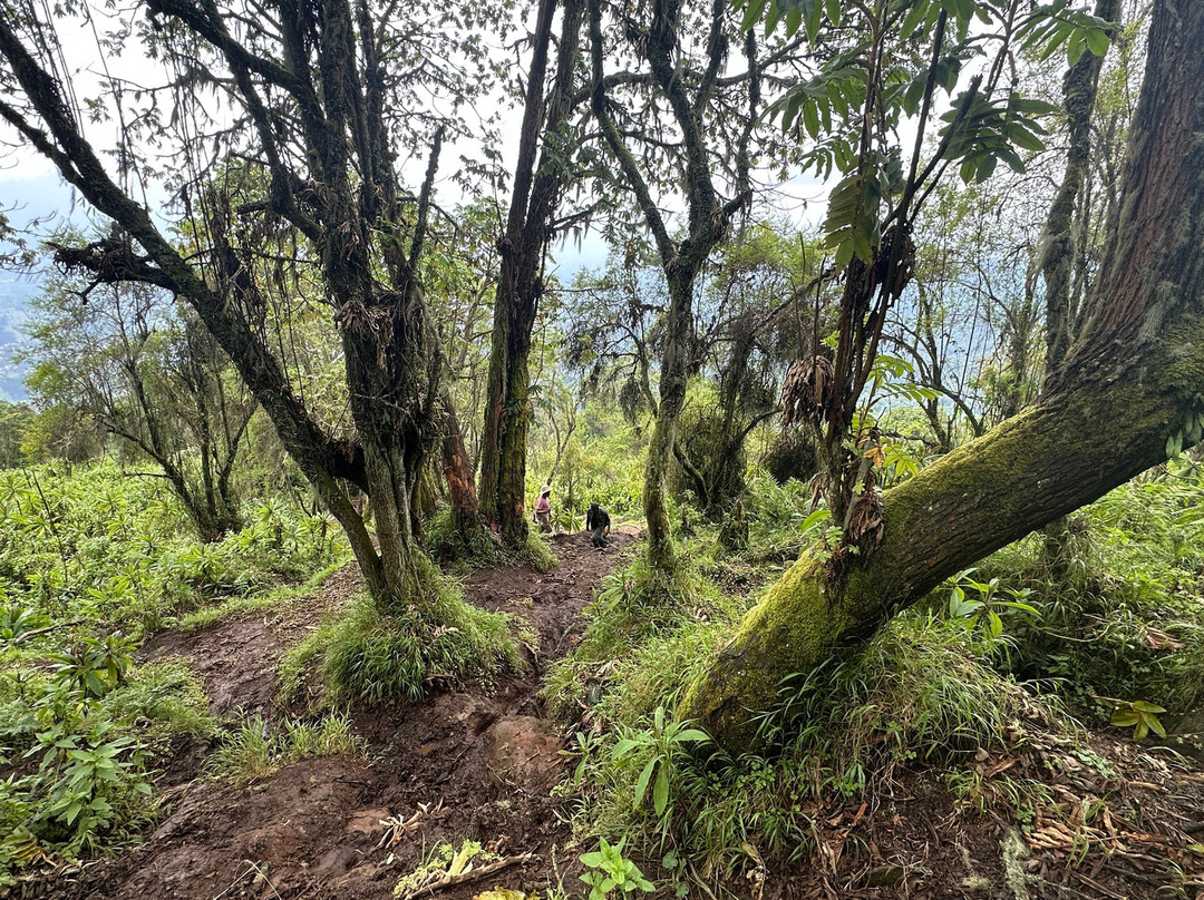 INZOZI Tours-吉佳利必去景点