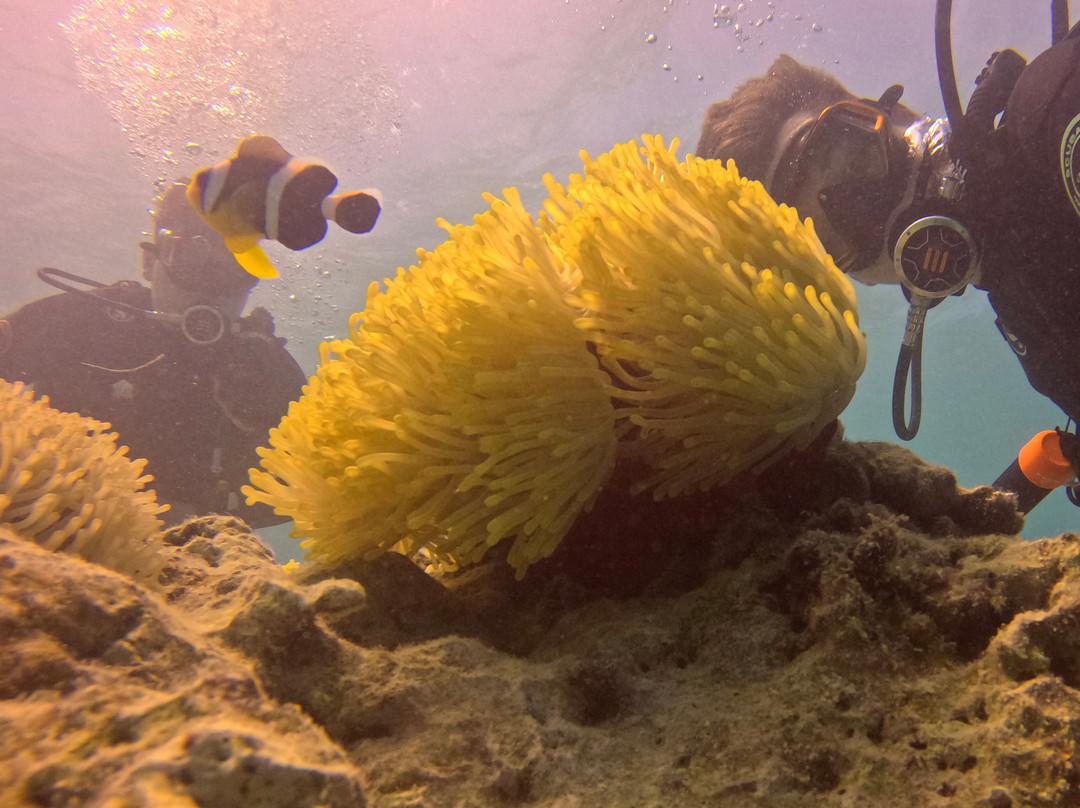 Scuba World Diving Mauritius-马喜埔必去景点
